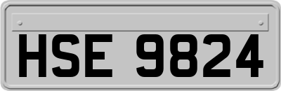 HSE9824