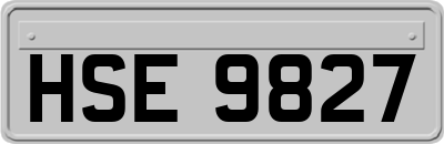 HSE9827
