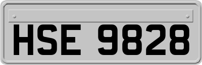 HSE9828