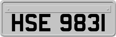 HSE9831