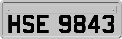 HSE9843