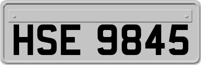 HSE9845