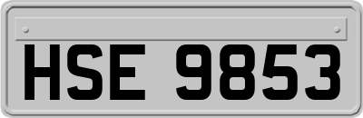 HSE9853
