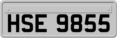 HSE9855