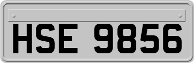 HSE9856