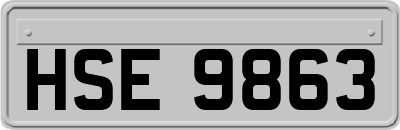 HSE9863