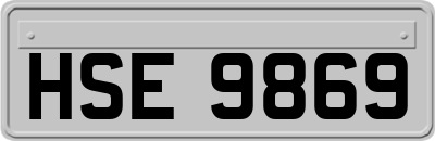 HSE9869