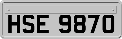 HSE9870