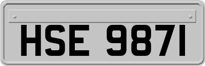 HSE9871