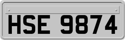 HSE9874