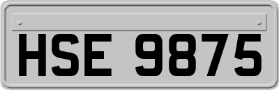 HSE9875