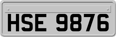 HSE9876