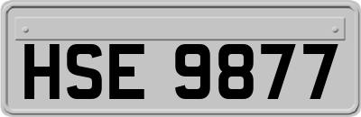 HSE9877