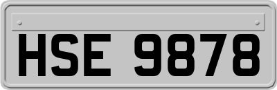 HSE9878