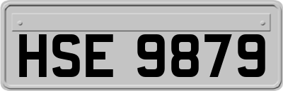 HSE9879