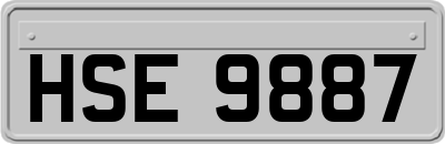 HSE9887