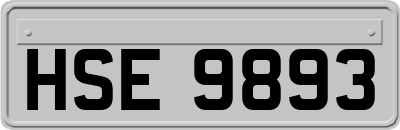HSE9893