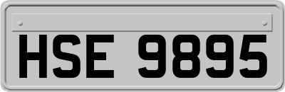 HSE9895
