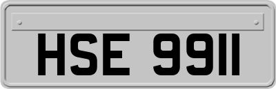 HSE9911