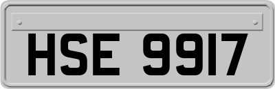 HSE9917