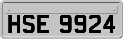 HSE9924