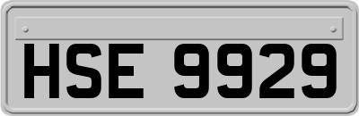 HSE9929
