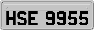 HSE9955