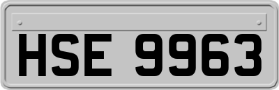HSE9963