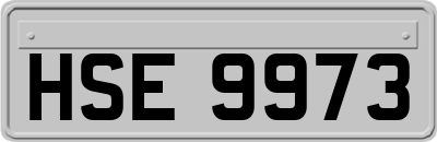 HSE9973