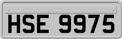 HSE9975