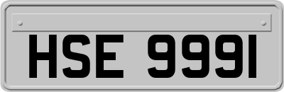 HSE9991