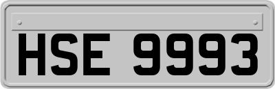 HSE9993
