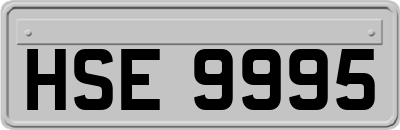 HSE9995