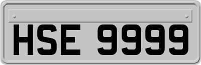 HSE9999