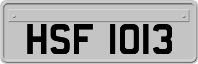 HSF1013