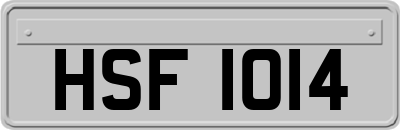 HSF1014