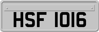 HSF1016
