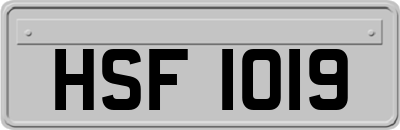 HSF1019