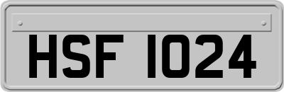 HSF1024