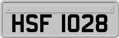 HSF1028