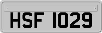 HSF1029