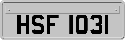 HSF1031