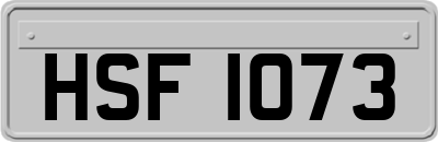 HSF1073