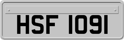 HSF1091