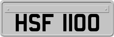 HSF1100