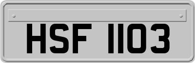 HSF1103