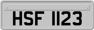HSF1123