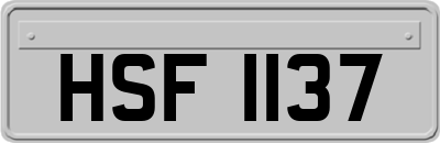 HSF1137