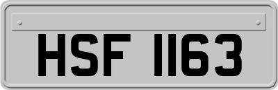 HSF1163