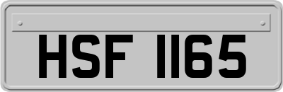 HSF1165